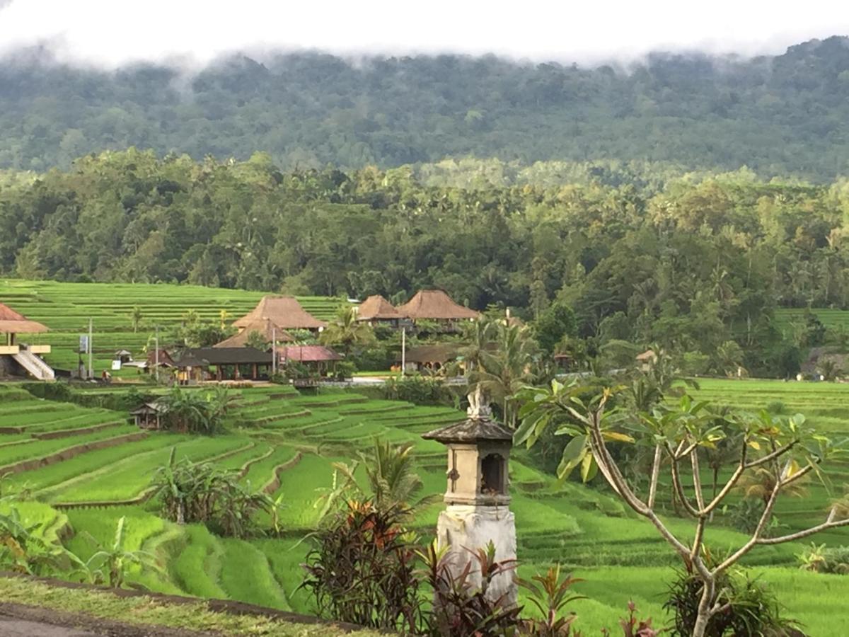 The Hidden Bali Inn Ubud Exterior foto